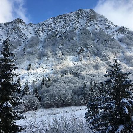 Val Di Luce - Delizioso Appartamento 6 Posti Letto - Accesso Diretto Alle Piste Da Sci Abetone Zewnętrze zdjęcie