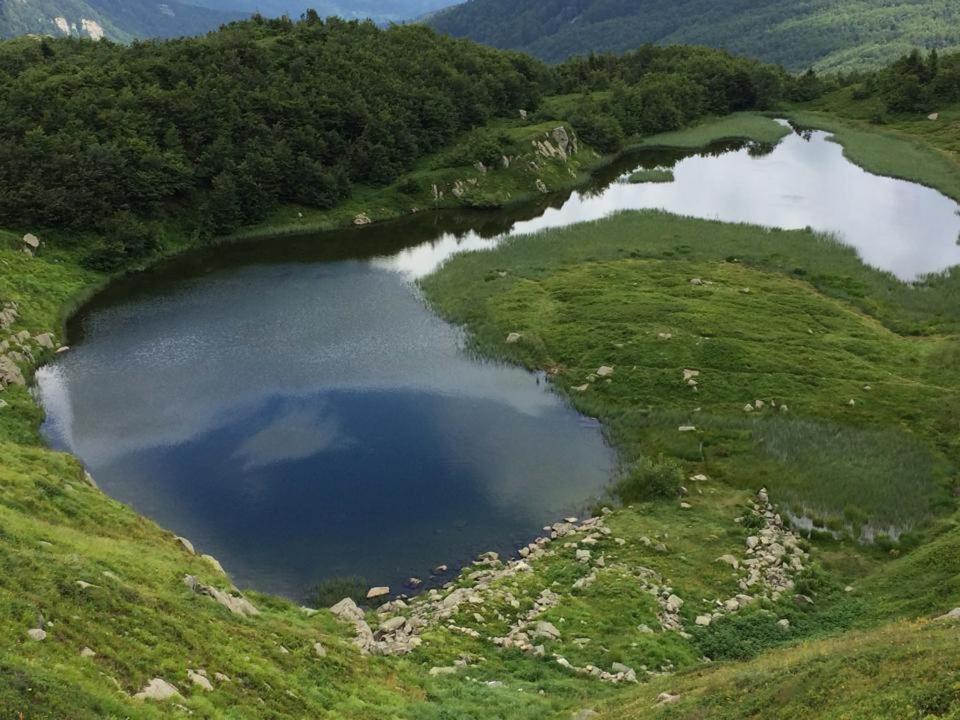 Val Di Luce - Delizioso Appartamento 6 Posti Letto - Accesso Diretto Alle Piste Da Sci Abetone Zewnętrze zdjęcie