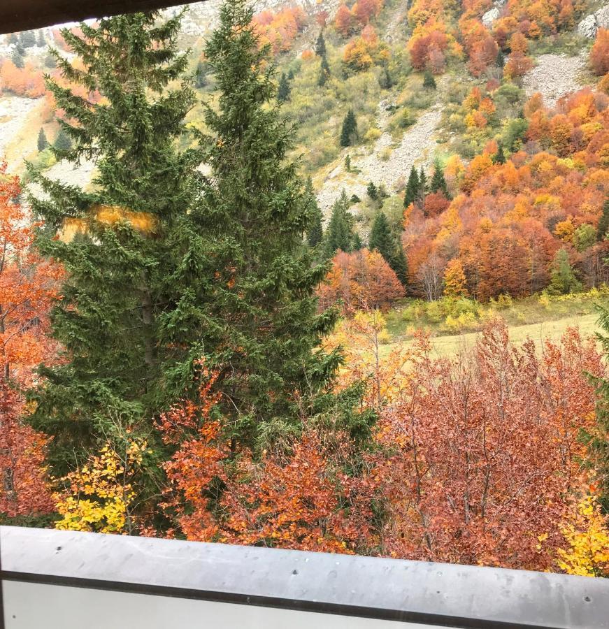 Val Di Luce - Delizioso Appartamento 6 Posti Letto - Accesso Diretto Alle Piste Da Sci Abetone Zewnętrze zdjęcie
