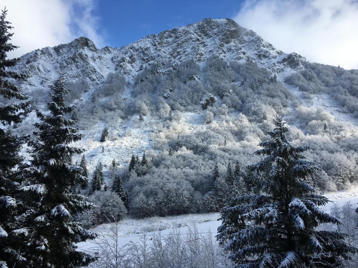Val Di Luce - Delizioso Appartamento 6 Posti Letto - Accesso Diretto Alle Piste Da Sci Abetone Zewnętrze zdjęcie